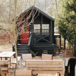 Family Cabin